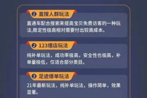 数据蛇淘宝2021最新三大补单玩法+稽查规则，降低90%被抓概率