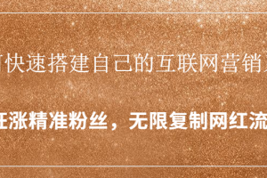 封神学员特训营：快速搭建自己的互联网营销系统，疯狂涨精准粉丝，无限复制网红流量