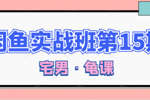 闲鱼无货源电商课程第15期，一个月收益几万不等