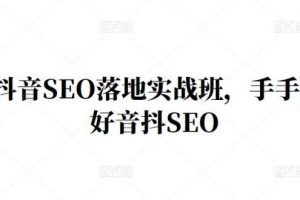 王通·抖音SEO落地实战班，手‬手带你做好音抖‬‬SEO