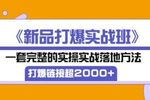 凌童《新品打爆实战班》,一套完整的实操实战落地方法，打爆链接超2000+（28节课)