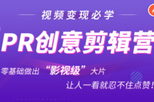 抖音赚钱必学的PR创意剪辑：零基础做出“影视级”大片，让人一看就忍不住为你点赞！