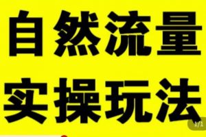 拼多多自然流量天花板，拼多多自然流的实操玩法，自然流量是怎么来的，如何开车带来自然流等知识