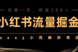 2023小而美的项目，小红书流量掘金，实操一天，收益200+【揭秘】