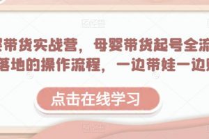 母婴带货实战营，母婴带货起号全流程，可落地的操作流程，一边带娃一边赚钱（附素材）