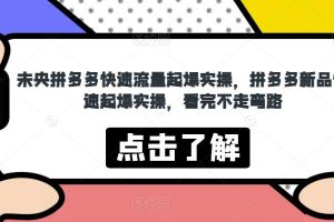 未央拼多多快速流量起爆实操，拼多多新品快速起爆实操，看完不走弯路