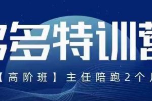 纪主任·5月最新多多特训营高阶班，玩法落地实操，多多全掌握