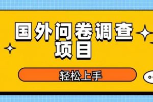 国外问卷调查项目，日入300+，在家赚美金【揭秘】