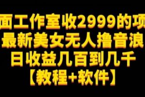 外面工作室收2999的项目最新美女无人撸音浪日收益几百到几千【教程+软件】（仅揭秘）