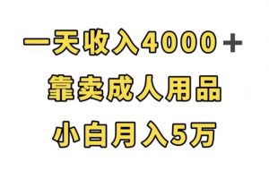 一天收入4000+，靠卖成人用品，小白轻松月入5万【揭秘】