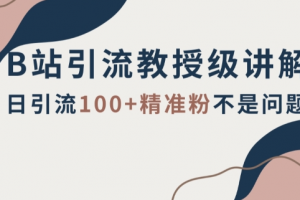 B站引流教授级讲解，细节满满，日引流100+精准粉不是问题【揭秘】