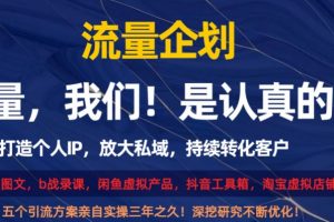 流量企划，打造个人IP，放大私域，持续转化客户【揭秘】