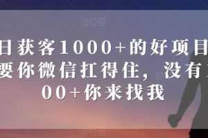 单日获客1000+的好项目，只要你微信扛得住，没有1000+你来找我【揭秘】