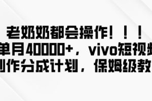 老奶奶都会操作，新平台无脑操作，单月40000+，vivo短视频创作分成计划【揭秘】